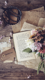 2001年全年彩票开奖结果详细记录汇总 2001年全年彩票开奖结果详细记录汇总