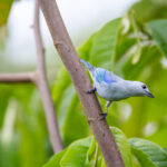 20036期任选9场足球彩票开奖结果揭晓 7h154phjv