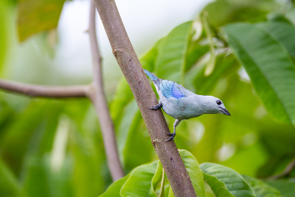 20036期任选9场足球彩票开奖结果揭晓 20036期任选9场足球彩票开奖结果揭晓