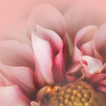 200247期开奖结果最新公布,速来查看中奖详情 7jidtbmv8