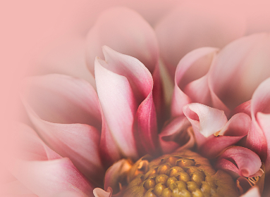 200247期开奖结果最新公布,速来查看中奖详情 200247期开奖结果最新公布,速来查看中奖详情