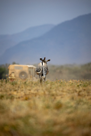20007期体彩开奖结果揭晓最新号码公布 20007期体彩开奖结果揭晓最新号码公布