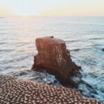 20007期足彩开奖结果揭晓:最新中奖号码与奖金分配详情 jerigaq