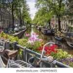 2001年第75期开奖结果查询与回顾 ltjgofs