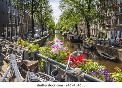 2001年第75期开奖结果查询与回顾 2001年第75期开奖结果查询与回顾