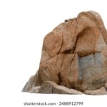 2001年北京申奥成功直播历史性瞬间全记录 rg709gy1a