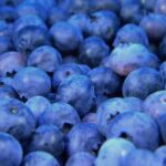 2003001期至今所有历史开奖数据全记录 todcn