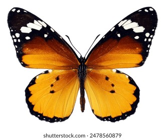 2002年福利彩票3D游戏历史开奖数据完整回顾 2002年福利彩票3D游戏历史开奖数据完整回顾