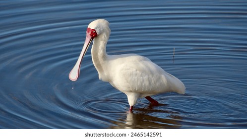 20004期大乐透开奖结果揭晓,大奖花落谁家引关注 20004期大乐透开奖结果揭晓,大奖花落谁家引关注