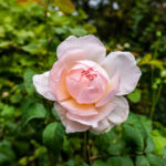 3d开奖号277最新结果公布,精准预测中奖规律分析 zrut7wb